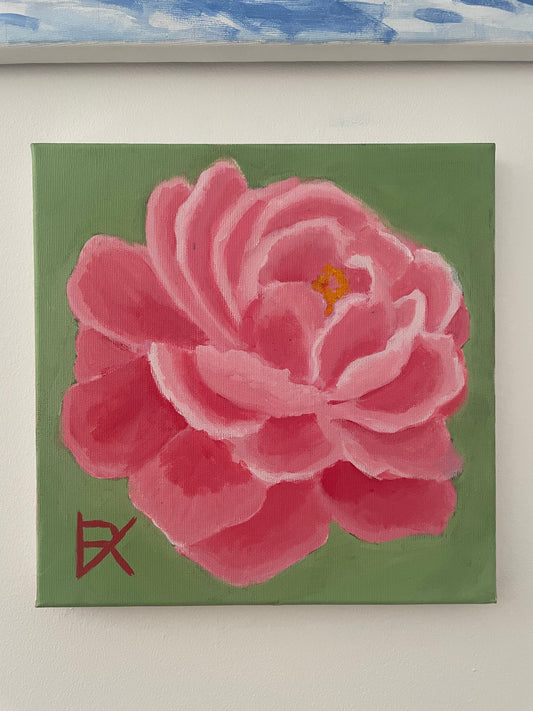 Pink flower