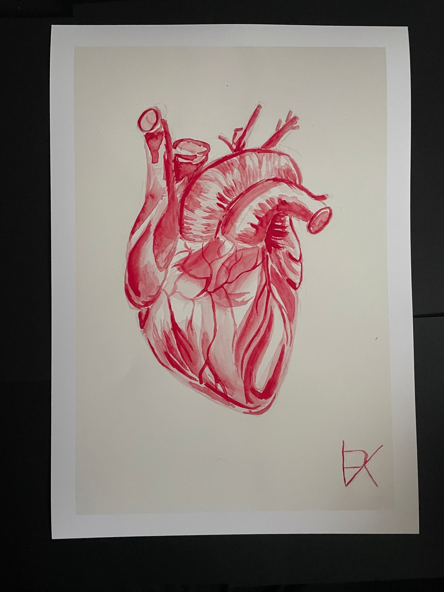 Anatomical heart - fine art print