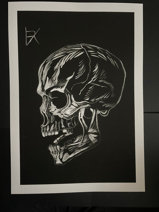 Skull - fine art print