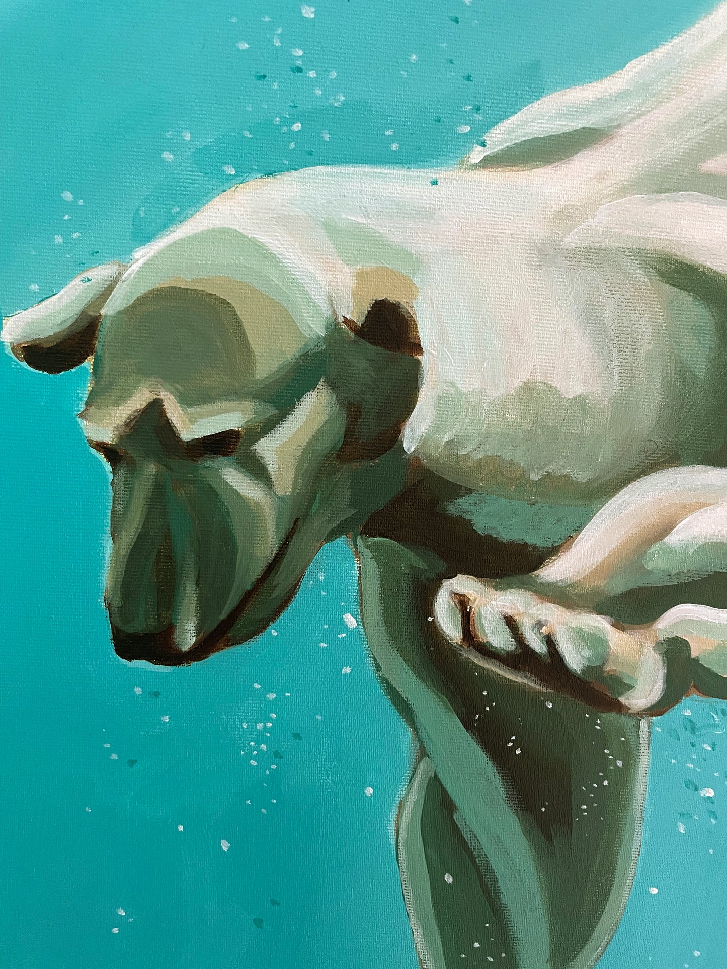 Polar bear I